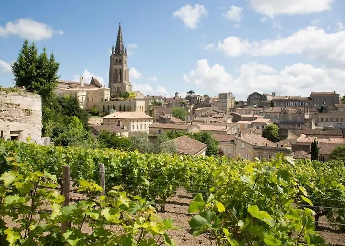 Le Green Parc, Hypercentre, Netflix, Clim Libourne